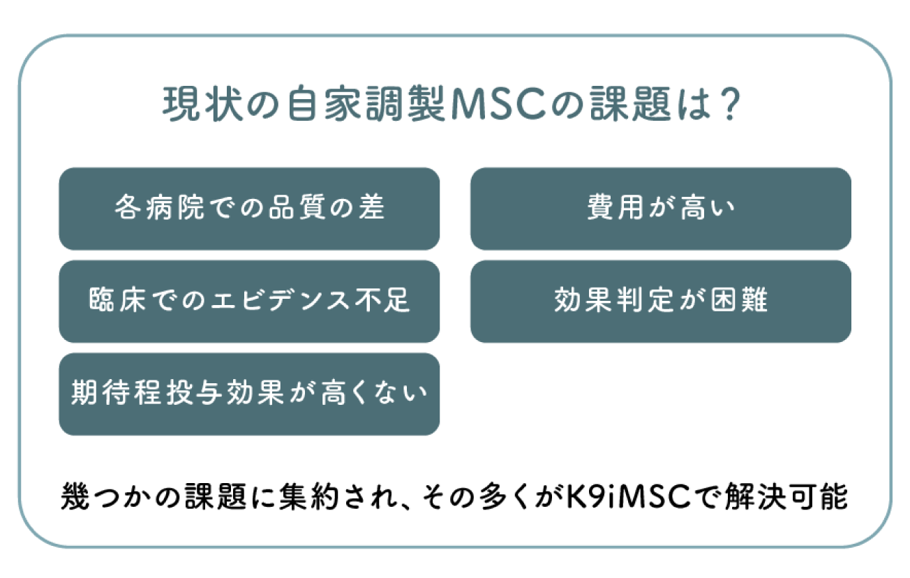 Q 現状の自家調整MSCの課題は？各病院での品質の差 臨床でのエビデンス不足 期待程投与効果が高くない 費用が高い 効果判定が困難 幾つかの課題に集約され、その多くがK9iMSCで解決可能