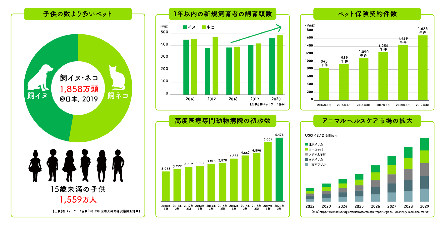 動物医療の現在地とその先