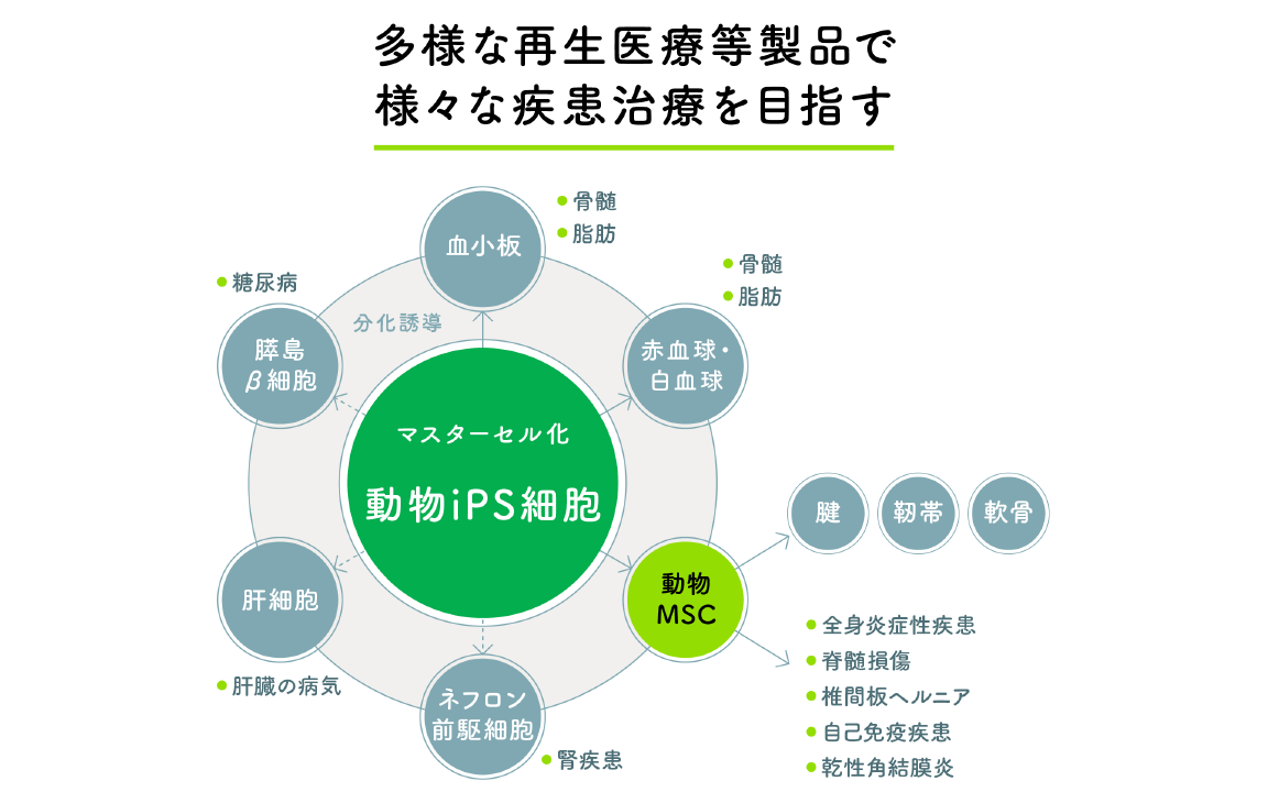 多様な疾患治療が可能に